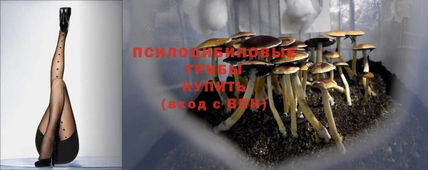 соль ск Белоозёрский