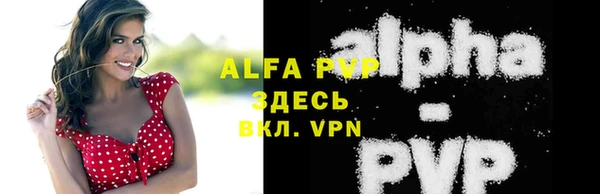метадон Богданович
