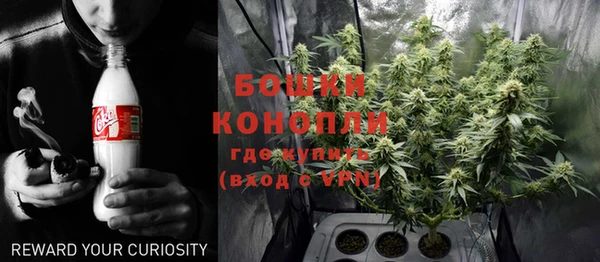 метадон Белокуриха