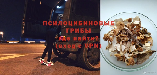 метадон Белокуриха