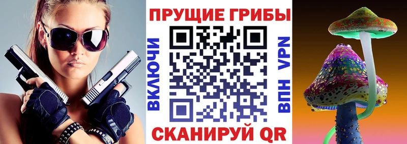 где продают наркотики  Кудымкар  Псилоцибиновые грибы MAGIC MUSHROOMS 